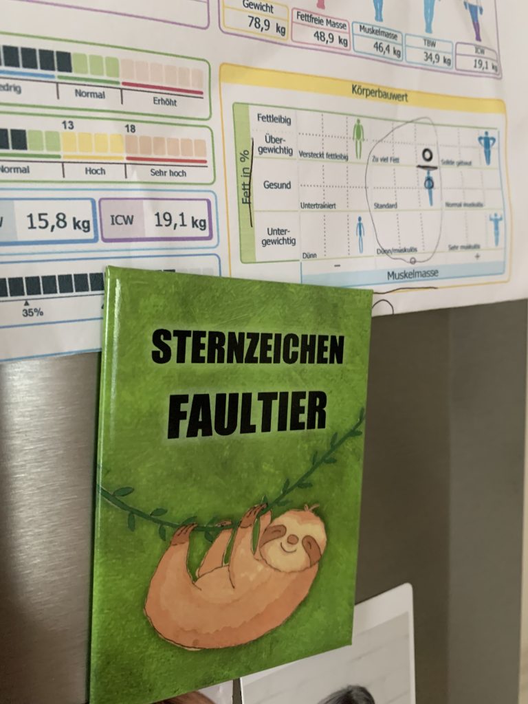 12 von 12 September Faultier