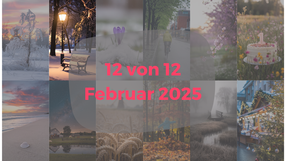 Blogbild Februar 12 von 12