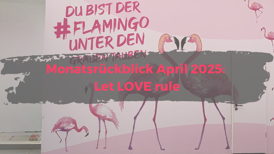 Blogbild Monatsrückblick April 2025