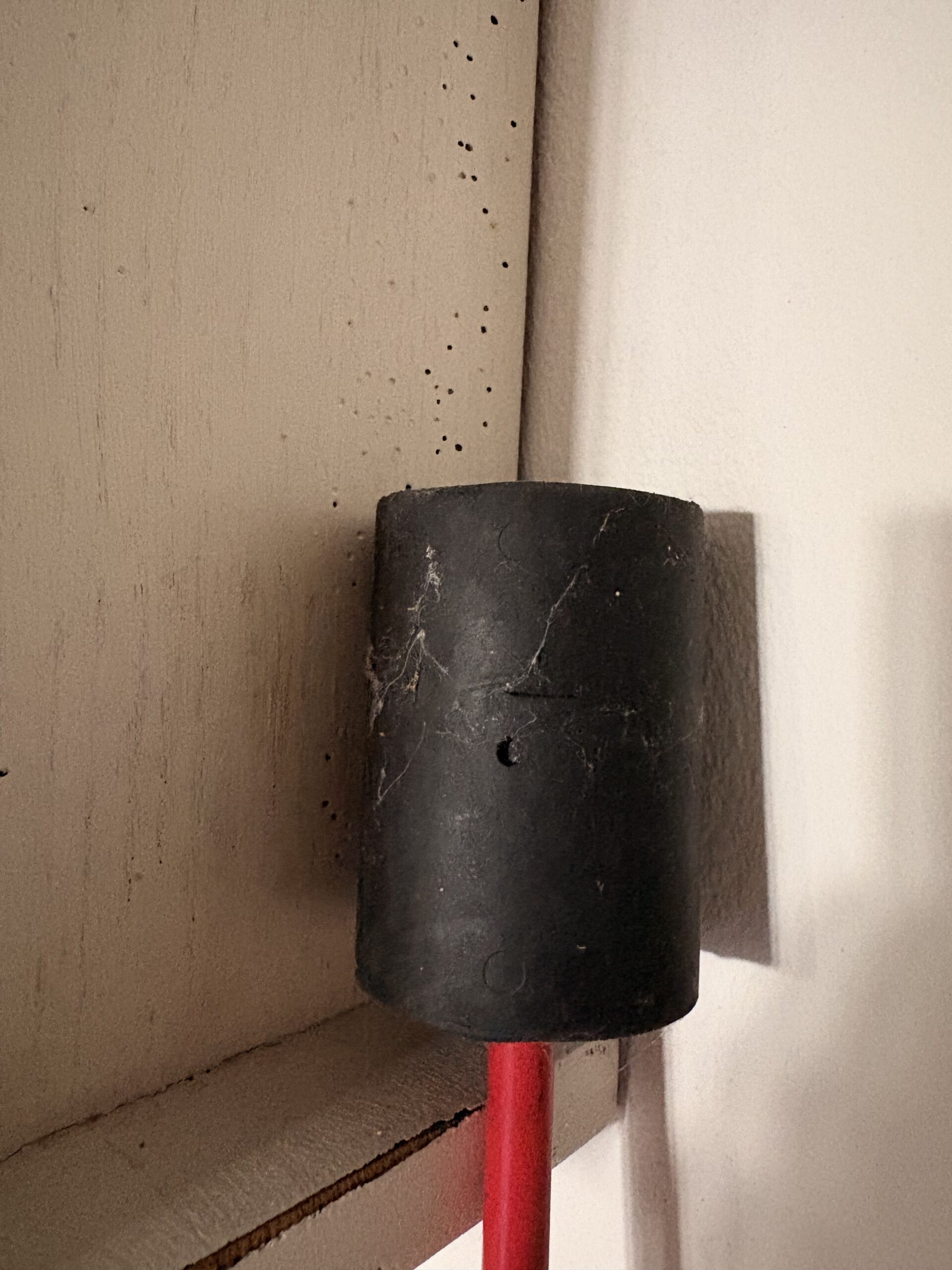 Flexibar mit Spinnweben