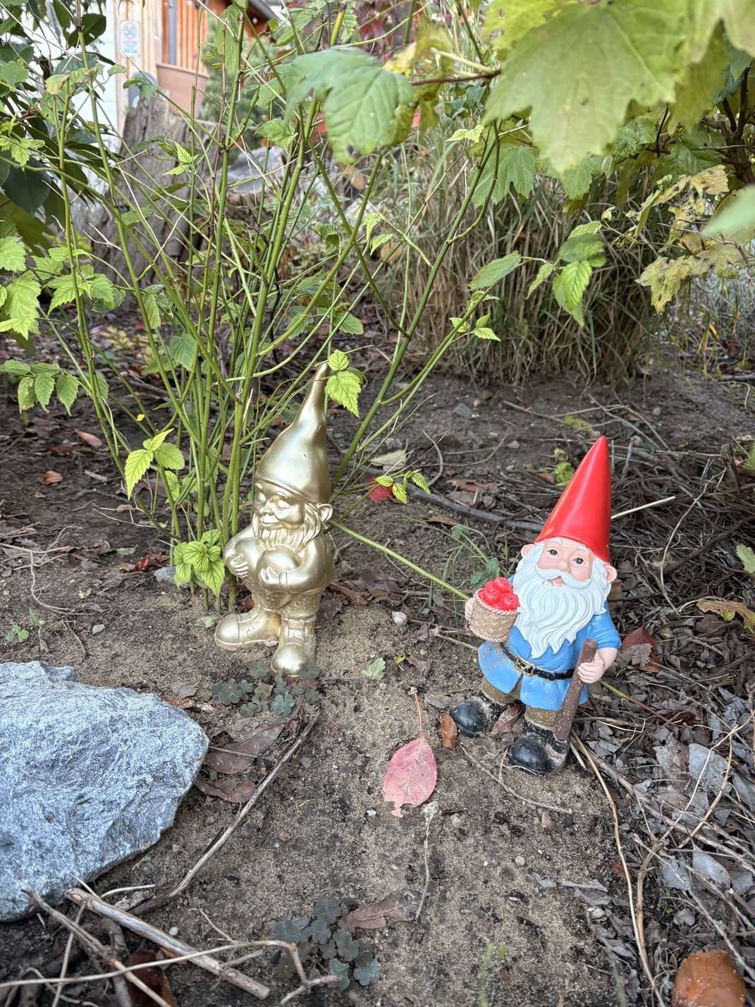 Gartenzwerge